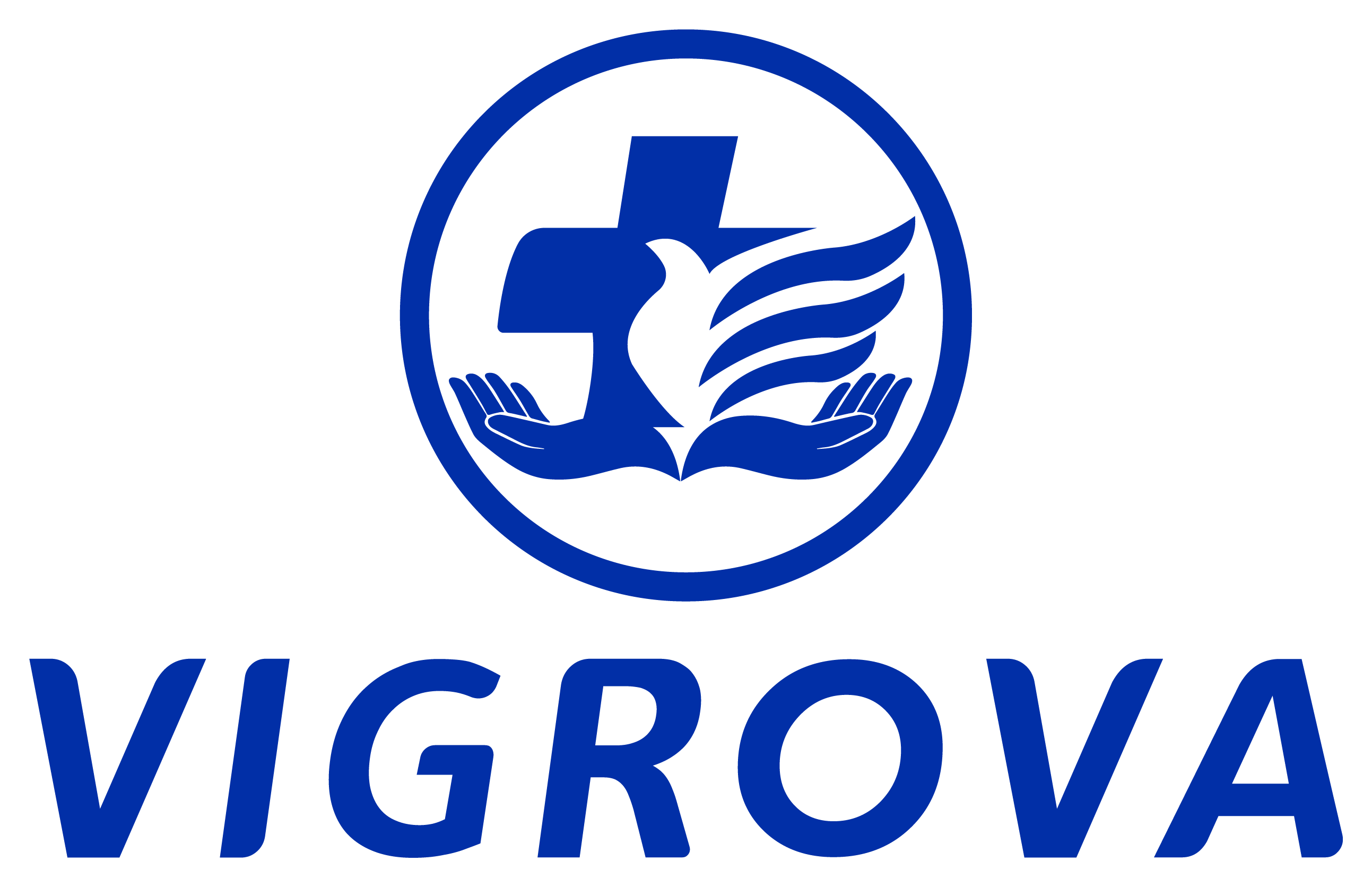 VIGROVA logo